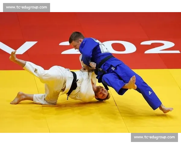 拳击与搏击的全面对比：技巧、规则、训练与实战的区别解析