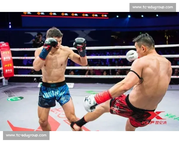 苏波邦vs艾曼巅峰对决前瞻实力解析与胜负关键比赛走势预测与战术博弈