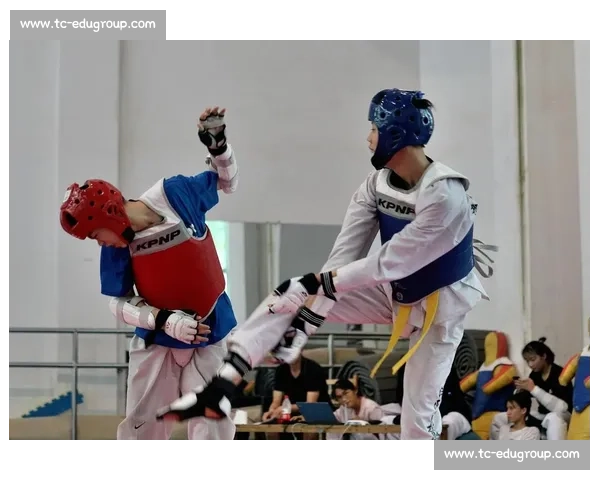 跆拳道vs极限对抗青春热血巅峰之战新时代全明星竞技真人秀震撼